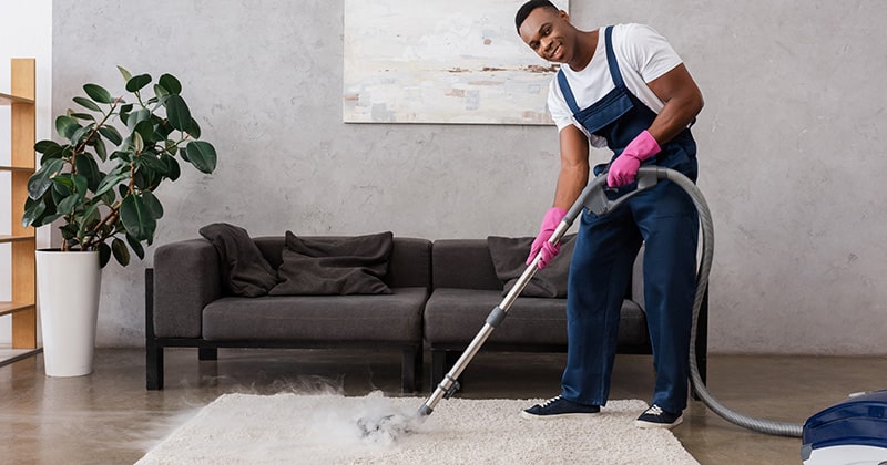 How Often Should You Schedule Professional Carpet Cleaning in Honeydew?