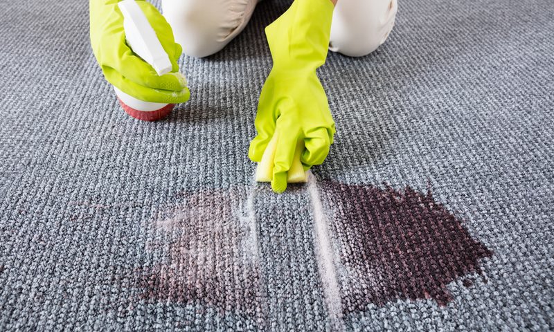How Does Carpet Cleaning Pro Handle Stubborn Stains in your Home?