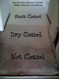 Steam and Dry Carpet Cleaning