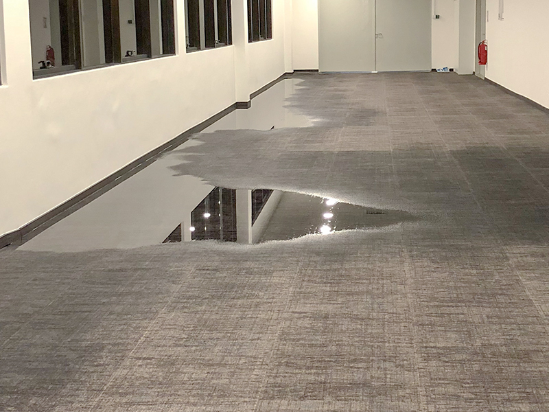 When to Call a Professional Carpet Cleaner After Your Carpet Has Been Flooded in Roodepoort