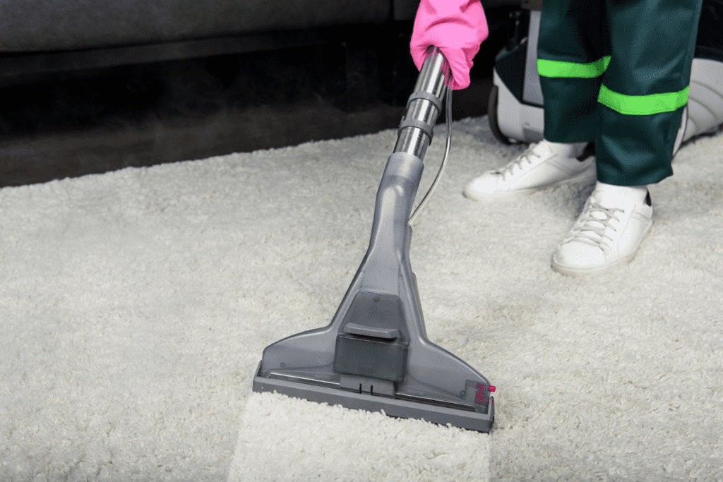 The Role of Carpet Cleaning in Maintaining Your Home’s Value