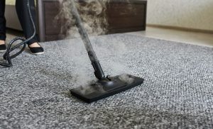 Carpet steam cleaning HoneydewSteam clean carpets Honeydew
Professional carpet cleaning Honeydew
Carpet cleaning services Honeydew
Deep carpet cleaning Honeydew