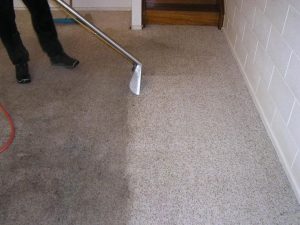 Dirty carpet health risks Honeydew
Allergies from dirty carpets
Carpet dust mites Honeydew
Mold in carpets Honeydew
Carpet bacteria removal
Health effects of dirty carpets
Carpet cleaning for asthma
Professional carpet sanitizing Honeydew
Dirty carpet odor and germs
Carpet hygiene services Honeydew
Eco-friendly carpet cleaning Honeydew