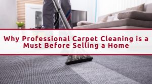 Essential Carpet Cleaning in Honeydew
Honeydew carpet cleaning services
Carpet cleaning for home sellers in Honeydew
Honeydew property cleaning tips