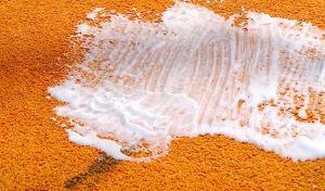 carpet cleaning services in Honeydew Honeydew carpet stain removal professional carpet cleaning Honeydew same day carpet cleaning Honeydew eco-friendly carpet cleaning Honeydew pet stain carpet cleaning Honeydew move-out carpet cleaning Honeydew