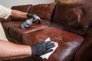 Leather furniture cleaning services Constantia Kloof
Upholstery cleaning Constantia Kloof
Leather couch restoration Roodepoort
Best leather protectors for furniture Gauteng
Leather cleaning products near Constantia Kloof